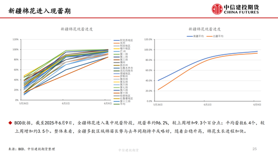 【棉花纺谈】供应端阶段(🕑)性缩量 疆棉基差坚挺